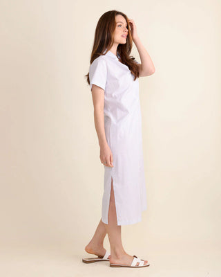 Kiawah Dress in Blue White Stripe