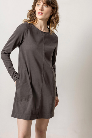 Front Seam Crewneck Dress in Iron