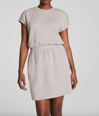 AE Crew Sweatshirt Dress in Grey