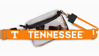 Hailey Clear Purse with Logo Strap in Black