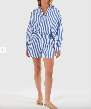 Pool Shorts in Blue Stripes