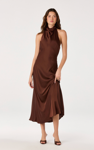 Mackenzi Dress in Brown