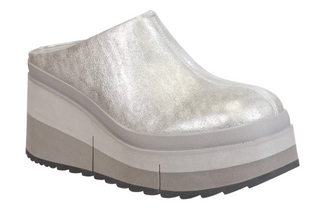 Coach Shoe in Silver