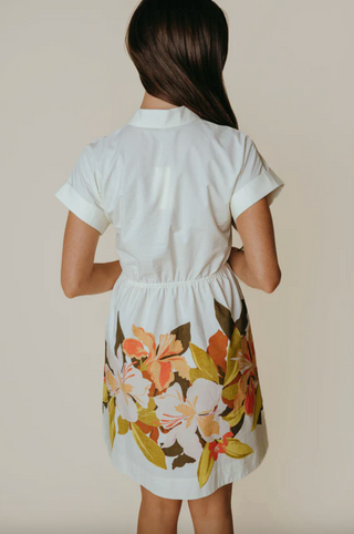 Birkin Dress in Isla Floral