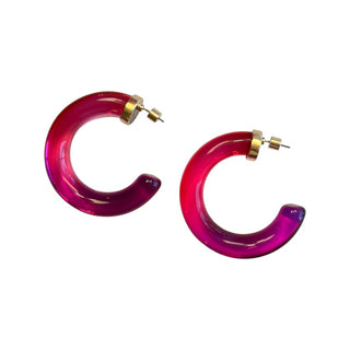 Small Ombre Hoop