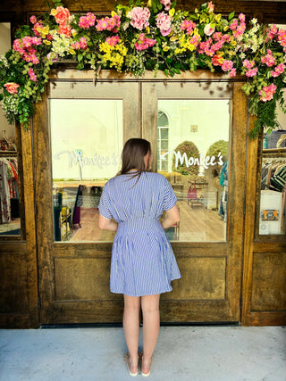 Flare Sleeve Striped Button Down Dress in Blue