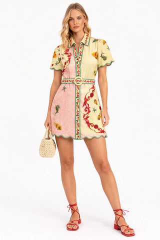 Poppy Dress in Blush Shell