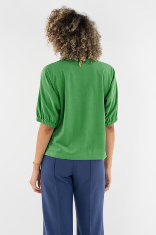 Bonny Top in Winter Pine