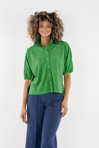 Bonny Top in Winter Pine