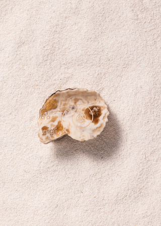 Seashell Hair Clip – Dune